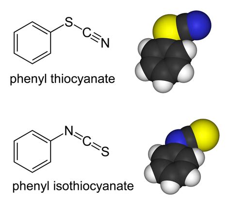 Difference Between Bidentate and Ambidentate Ligands | Compare the Difference Between Similar Terms