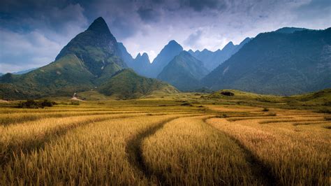 Asia Farm Landscape wallpaper | nature and landscape | Wallpaper Better