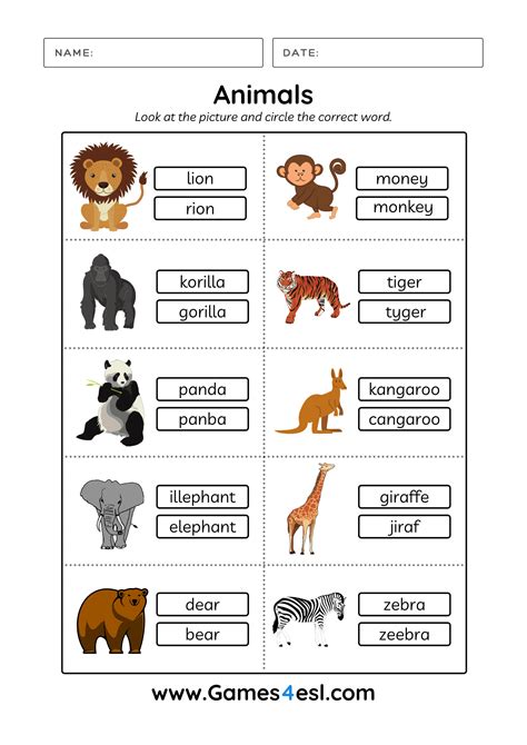 Animal Names Worksheets - WorksheetsCity