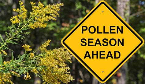 Is Pollen Season Happening Earlier? | Blog | Science Museum of Virginia