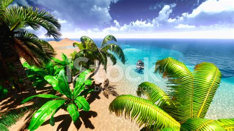 Hawaiian Paradise Beach Stock Photo | Royalty-Free | FreeImages