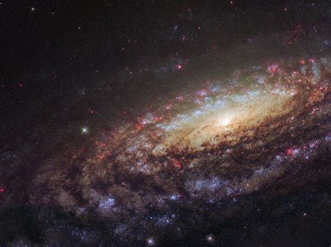 La gigantesca spirale nella costellazione di Pegaso ripresa da Hubble