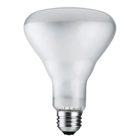 Philips DuraMax 65-Watt Incandescent BR40 Flood Light Bulb (8-Pack)-139279 - The Home Depot