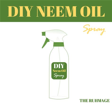 diy neem oil spray – THE RUHMAGE