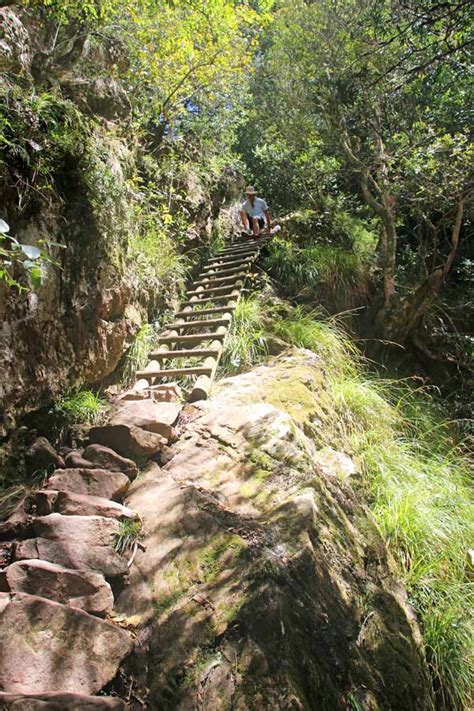 Amazing hiking trails up Table Mountain with stunning views - Stingy Nomads