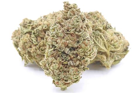 High Country Diesel Strain Flower | Buy Weed Online | Best Price