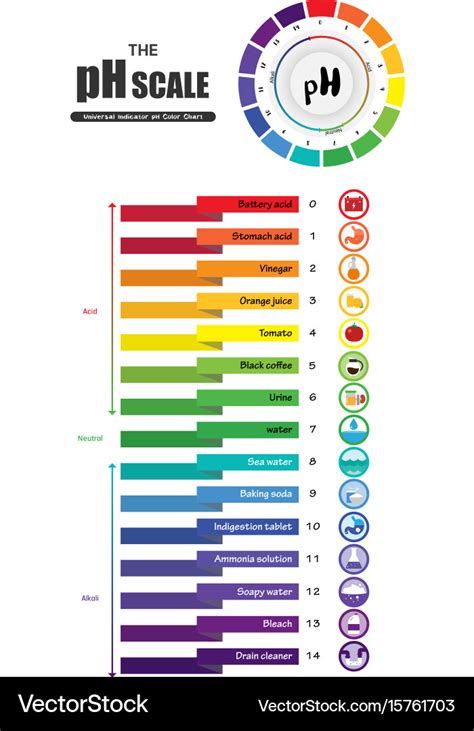 Ph scale universal indicator ph color chart Vector Image