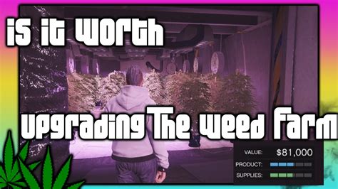 GTA 5 Online :: Upgrading The Weed Farm Is It Worth it Biker DLC - YouTube