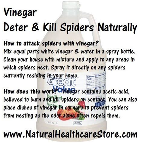 Pin on Vinegar ~ Natural Uses