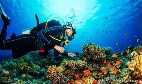 Scuba Diving in Andaman | Deals Starting @ ₹3499 Only