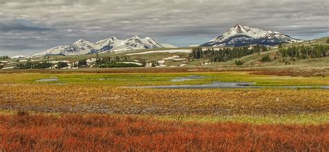 Five Signs Its Actually Spring In Yellowstone - A Yellowstone Life