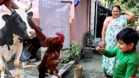 Cute Village Boy playing with Cock| village boy life || Cow sounds Moo || Funny Boy eating video ...