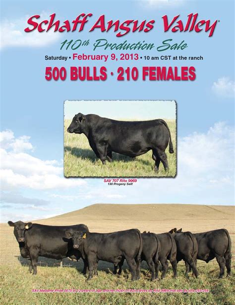 Schaff Angus Valley - 110th Production Sale by LivestockDirect - Issuu