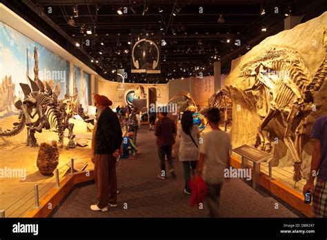 Royal Tyrrell Museum in Drumheller, Alberta Stock Photo - Alamy