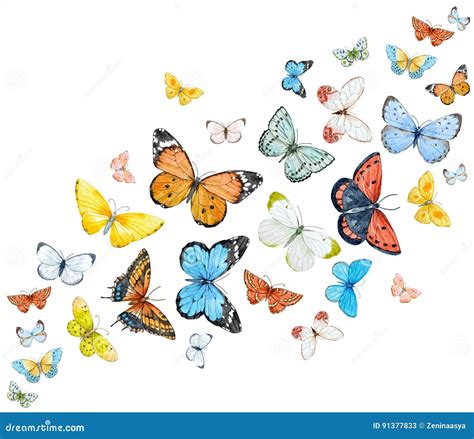 Watercolor Butterflies Vector Set | CartoonDealer.com #95125598