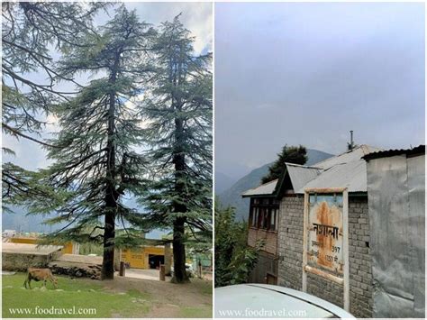 Chamunda Devi Temple Nashala Naggar - Trekking to Nashala Temple