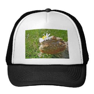 Bearded Dragon Hats & Bearded Dragon Trucker Hat Designs | Zazzle