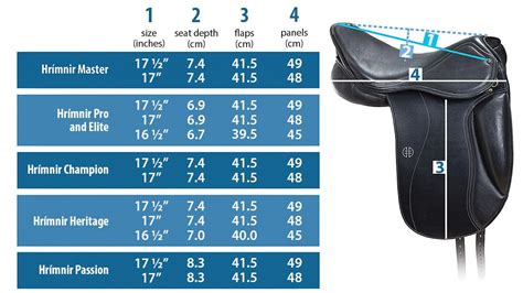 English Saddle Size Chart | ubicaciondepersonas.cdmx.gob.mx