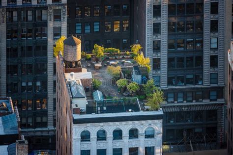 New York Rooftop - Roof Garden in Chelsea Stock Photo - Image of building, east: 34888098