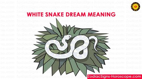 White Snake Dream: Meaning, Interpretation and Dream Symbolism