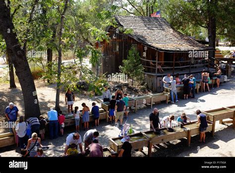 Gold Panning at Columbia State Historic Park in California Stock Photo - Alamy