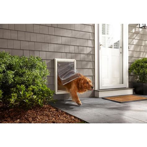 Framed Dog Pet Door Dual Flap XXL Extra Large All Weather Panel Frame Wall Mount 30559999746 | eBay