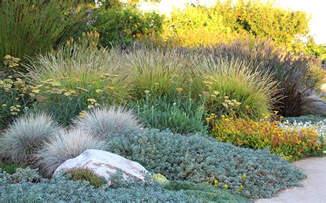 Xeric Garden Designs | Fasci Garden