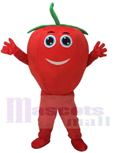 Cute Red Tomato with Smile Mascot Costume