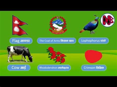 National Emblem of Nepal HD नेपालको राष्ट्रिय चिन्हहरु ।🇳🇵 - YouTube