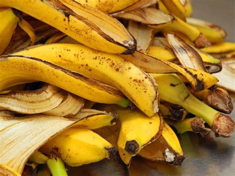 Using Banana Peel In Compost - The Effect Of Bananas On Soil Compost