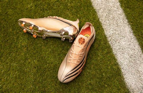 Messi Copa America 2024 Boots For Sale - Sioux Raquel
