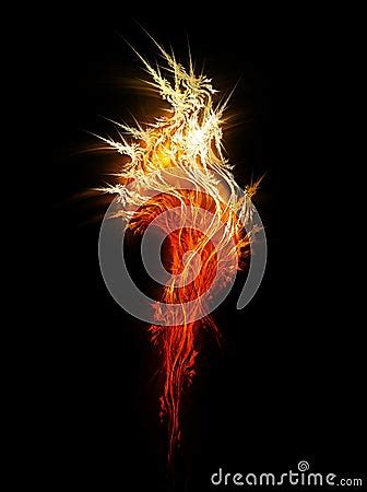 Fiery Flower Royalty Free Stock Photo - Image: 13437115