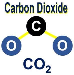 What is carbon dioxide? Greenhouse gases - Market Business News