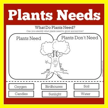 Basic Needs of Plants Worksheet Activity Plant Kindergarten 1st 2nd 3rd ...