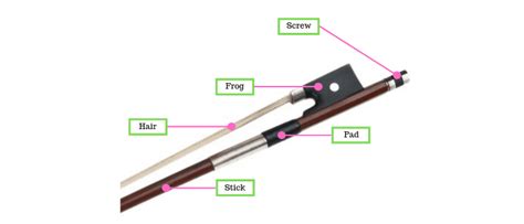 Parts of a Violin - A Simple Guide to What Each Piece Does - Zing Instruments