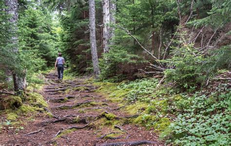 A Complete Guide to Fundy National Park Camping