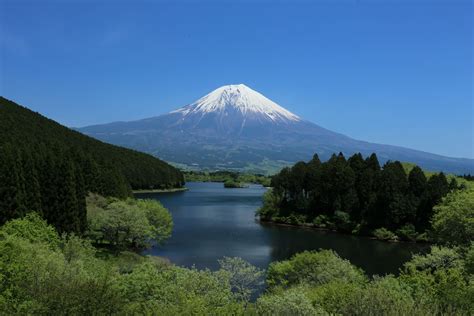 “Kyukamura Fuji,” Shizuoka Lodging with a View of Mt. Fuji from Every Room | GOOD LUCK TRIP