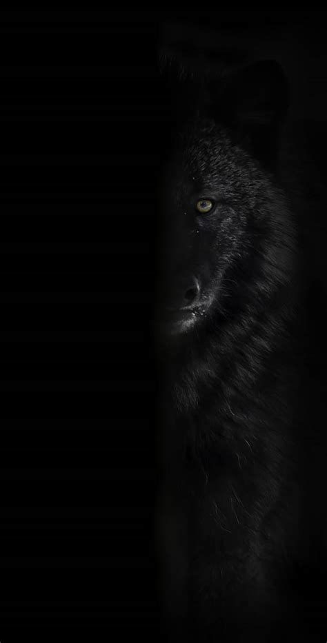 Wolf Art Black And White