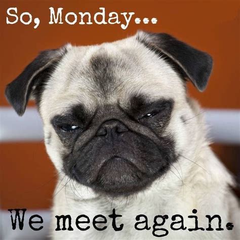 So, Monday...We Meet Again Pictures, Photos, and Images for Facebook, Tumblr, Pinterest, and Twitter