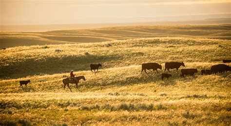 North America Agriculture | The Nature Conservancy