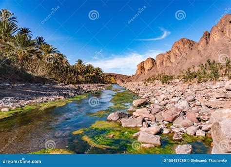 Fresh River in Beautiful Desert Oasis Nature Landscape in Oasis De Fint Near Ourzazate in ...