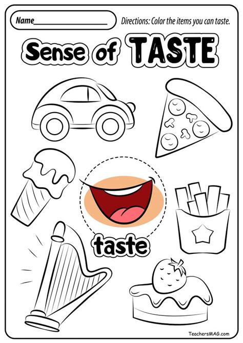 5 Senses Worksheet For Kindergarten