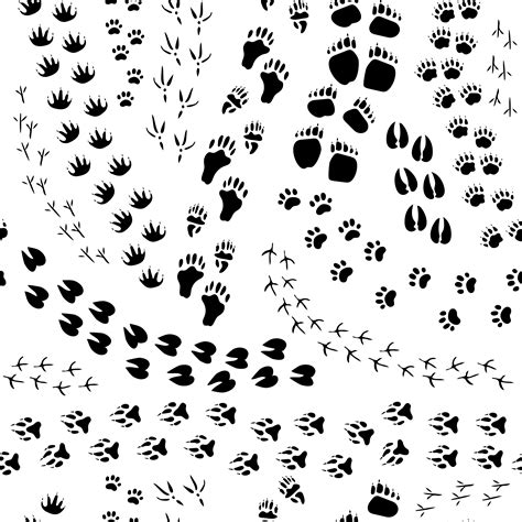 Animal Track Seamless Pattern 470964 Vector Art at Vecteezy