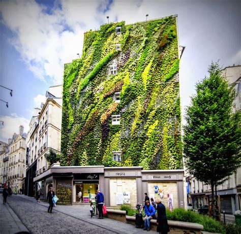 ParisDailyPhoto: Green wall