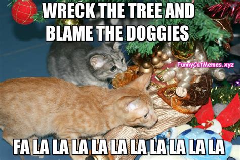 Funny Cat Christmas Memes - Quotes Viral