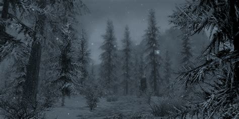 Snow Falling In The Forest Pictures, Photos, and Images for Facebook, Tumblr, Pinterest, and Twitter