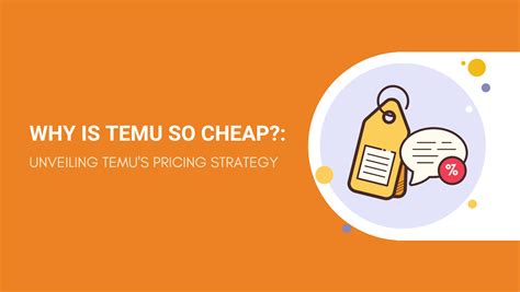 Why Is Temu So Cheap?: Unveiling Temu’s Pricing Strategy - Dropshipping From China ...