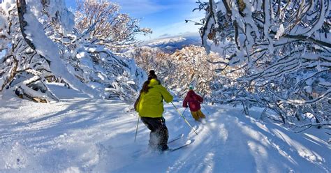 Mount Buller Snow 1-Day Tour from Melbourne - Klook