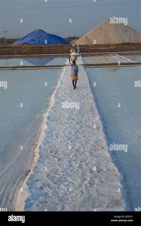 Salt pans on tuticorin Salt Lake, India. It is India's largest saline ...