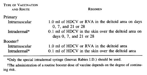 Rabies | NEJM